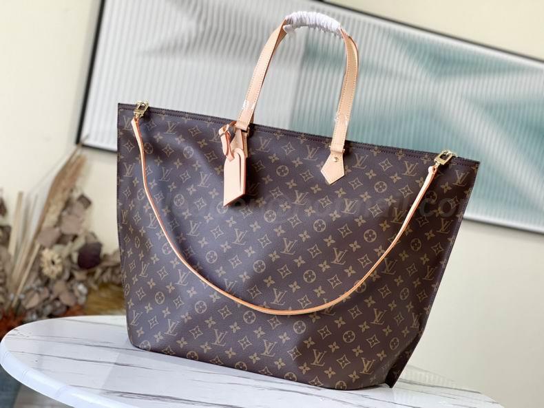 LV Handbags 223